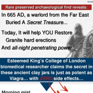 The Warrior's Secret